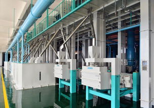 东方集团现代农业板块加速新米生产，东方粮仓方正园区全力冲刺旺季